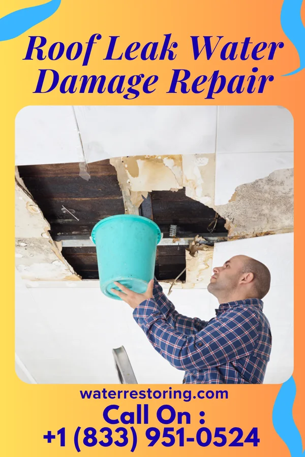 Roof Leak Water Damage Repair in Sweet Water, AL