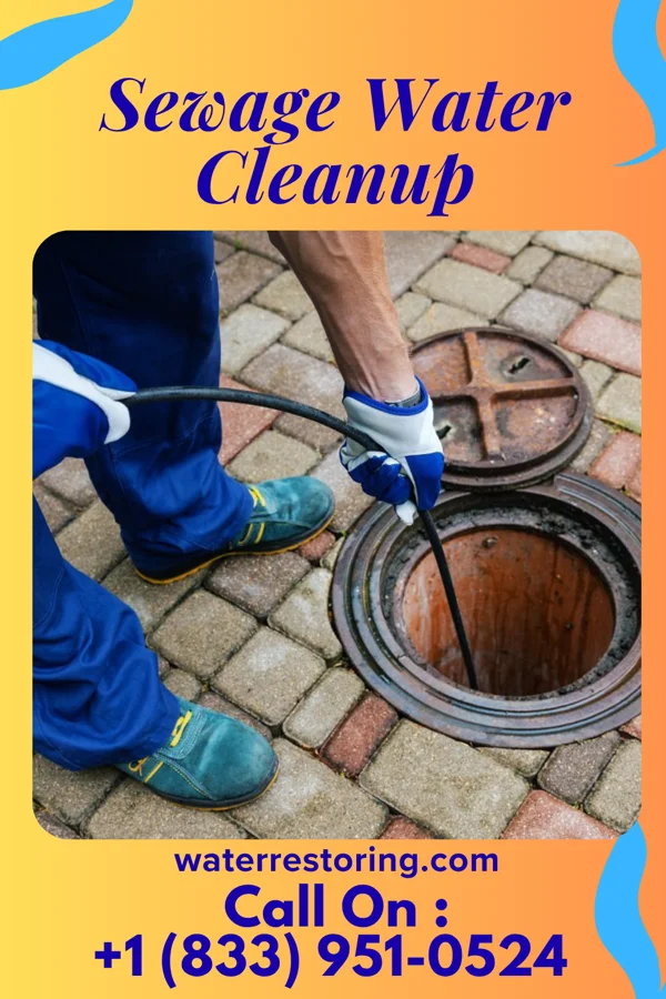 Sewage Water Cleanup in Sweet Water, AL